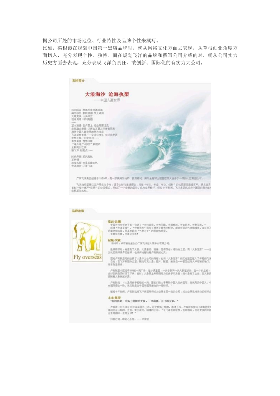 网络营销文案实战技巧：网络营销文案分类及策划要点_第2页