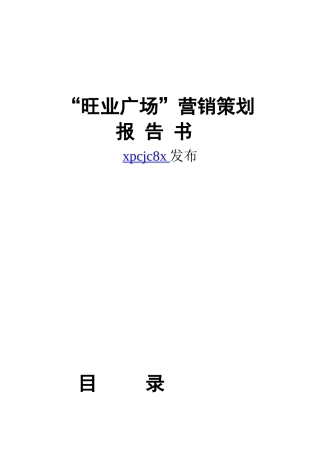 旺业广场营销策划报告书