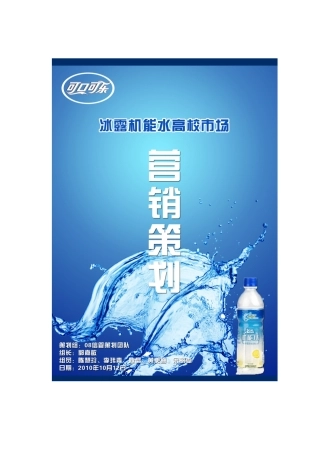 营销策划及管理知识分析报告书