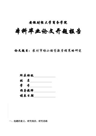 农村市场小额贷款营销策略研究