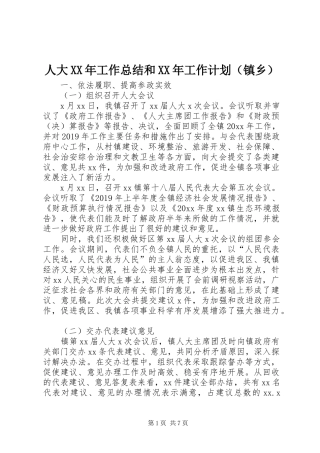 人大XX年工作总结和XX年工作计划（镇乡）
