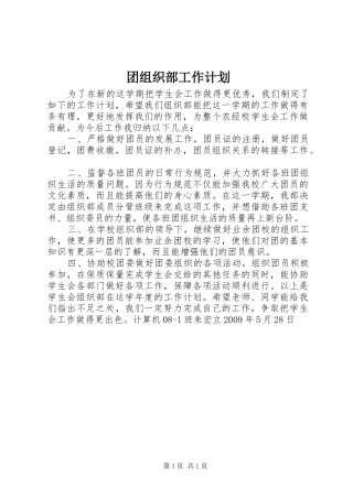 团组织部工作计划