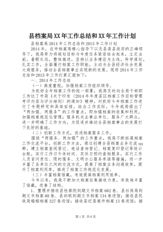 县档案局XX年工作总结和XX年工作计划