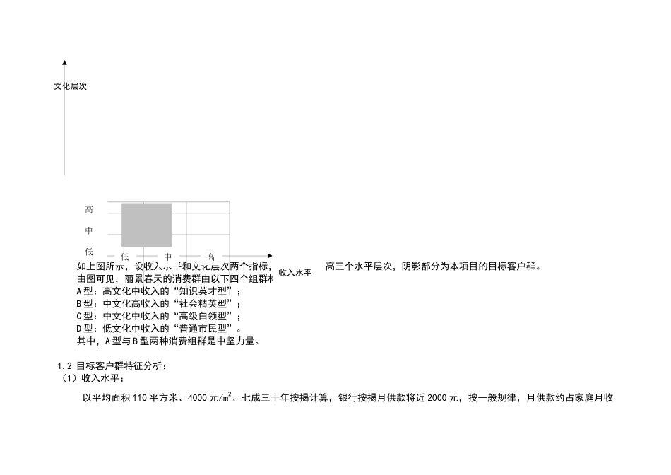 丽景春天销售力策划建议书_第3页