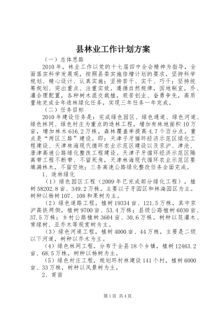 县林业工作计划方案