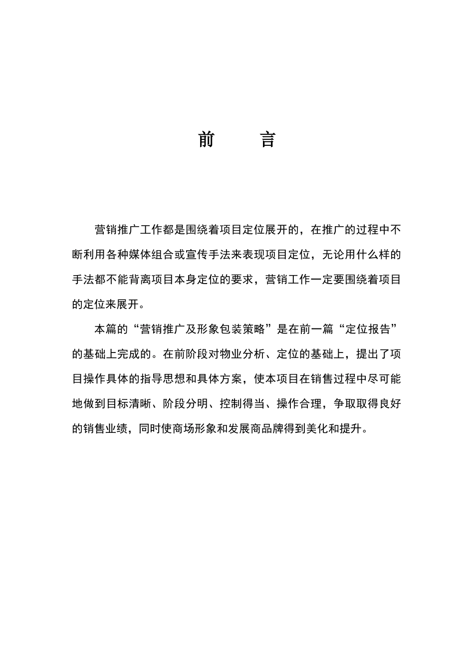 某服装博览中心项目包装与营销推广报告_第3页