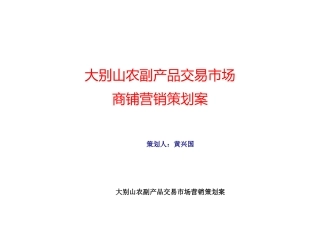 农副产品交易市场商铺营销策划案