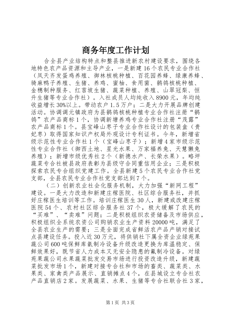 商务年度工作计划_第1页