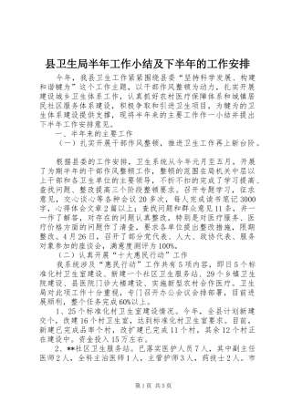 县卫生局半年工作小结及下半年的工作安排