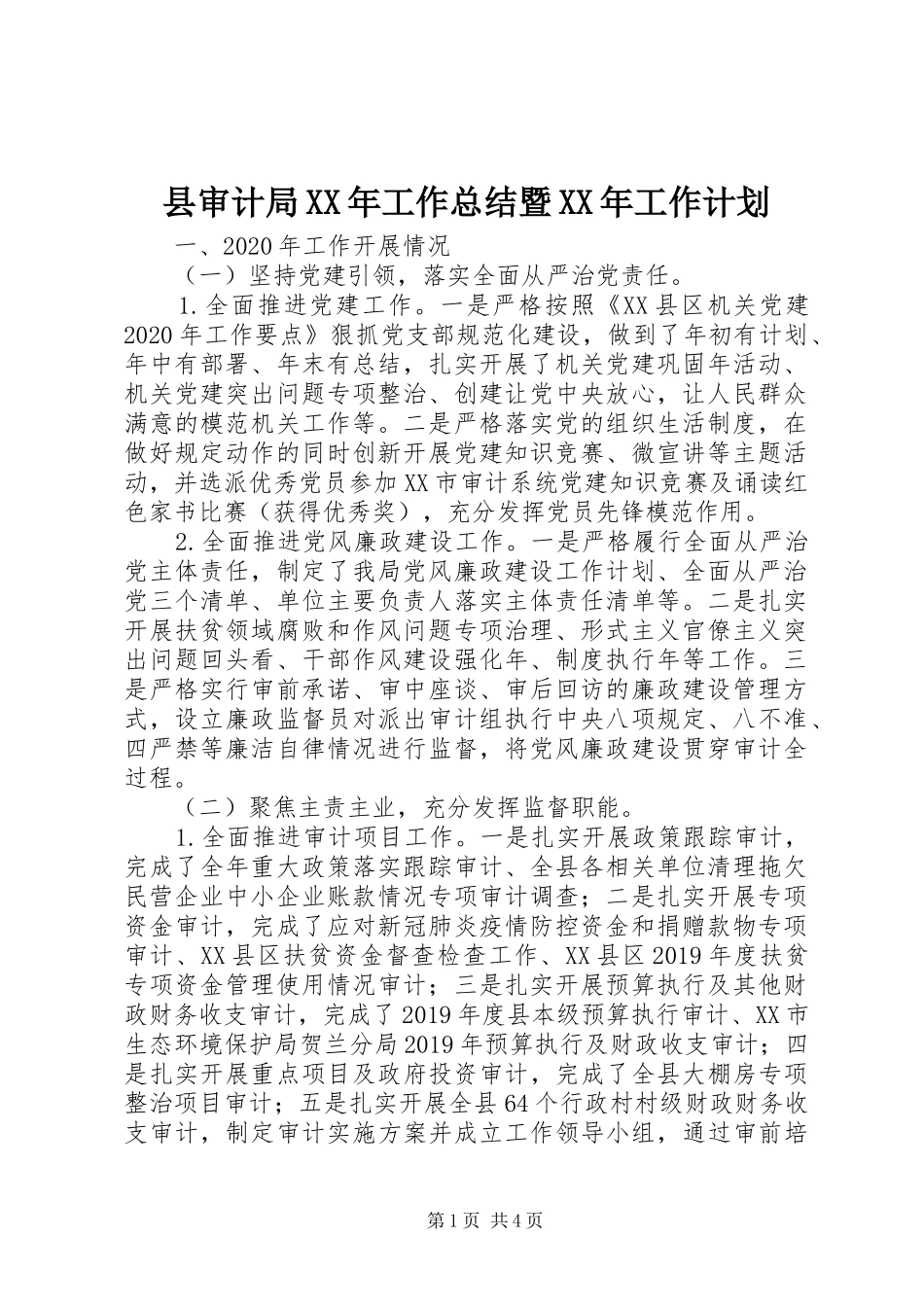 县审计局XX年工作总结暨XX年工作计划_第1页