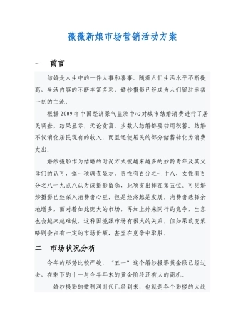 薇薇新娘市场营销活动方案