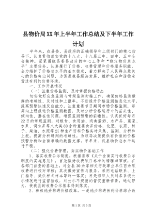 县物价局XX年上半年工作总结及下半年工作计划