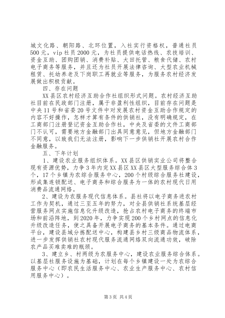 县供销合作社XX年度工作总结及下年计划_第3页