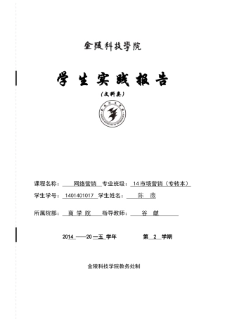 网络营销综合实践