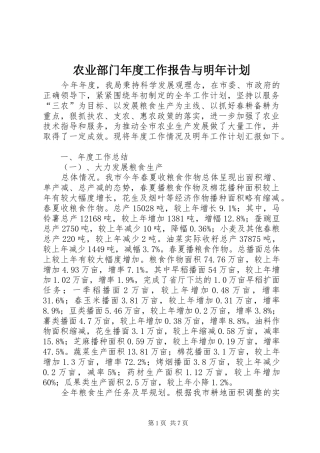 农业部门年度工作报告与明年计划