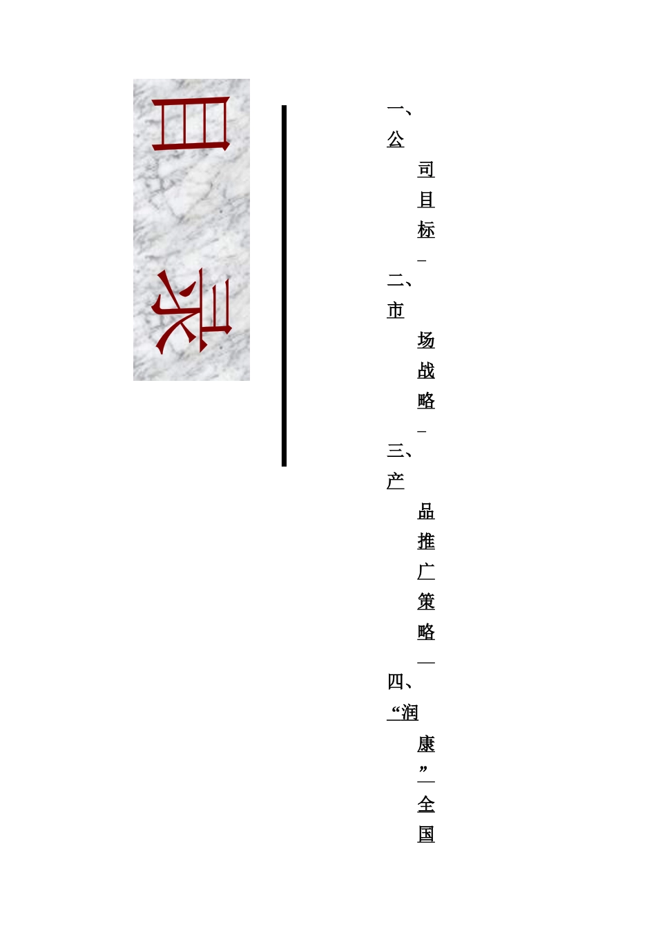 润康市场推广策略_第2页