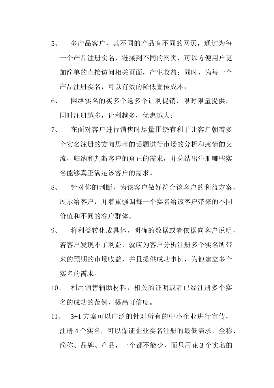 网络实名促销方案_第2页