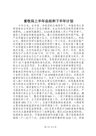 畜牧局上半年总结和下半年计划