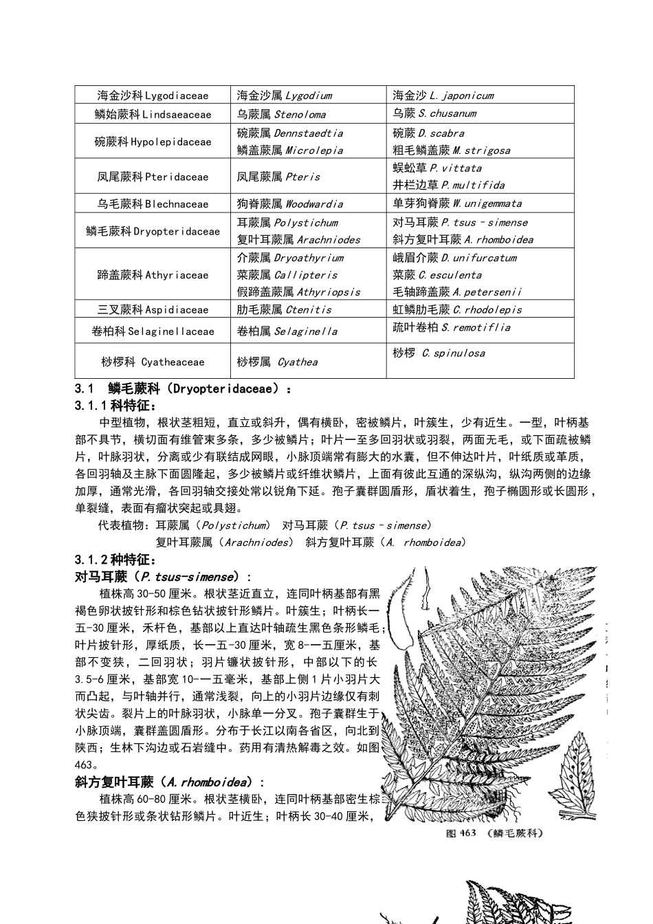 重庆缙云山蕨类植物调查研究_第3页