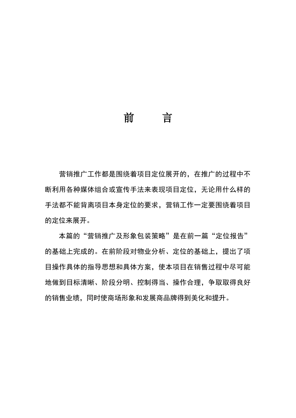 株洲汇亚国际服装博览中心项目包装与营销推广报告_第3页