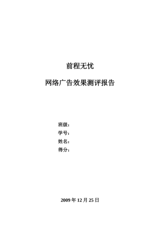 网络广告效果测评报告概要