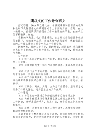 团总支的工作计划范文