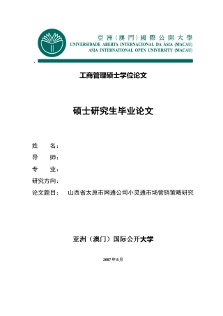 网通公司市场营销策略研究