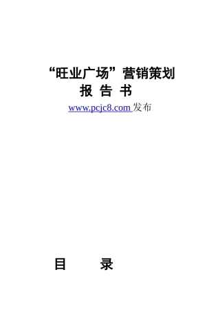 深圳旺业广场营销策划报告书