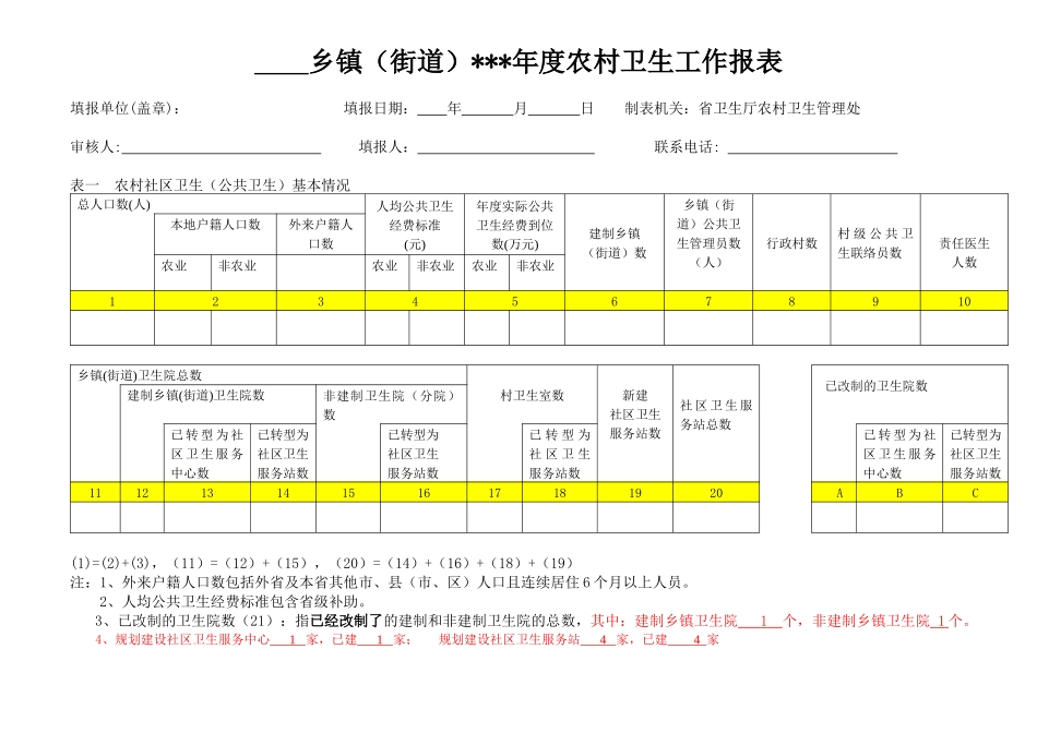 农村公共卫生服务项目实施情况表_第2页