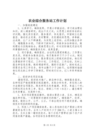 农业综合服务站工作计划
