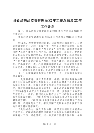 县食品药品监督管理局XX年工作总结及XX年工作计划