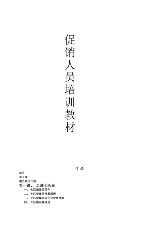 某某公司促销人员培训课件