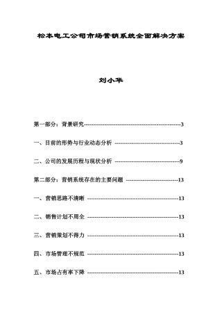 家电策划松本电工市场营销系统全面解决方案