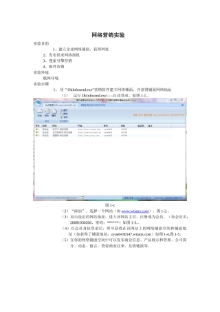 网络营销实验