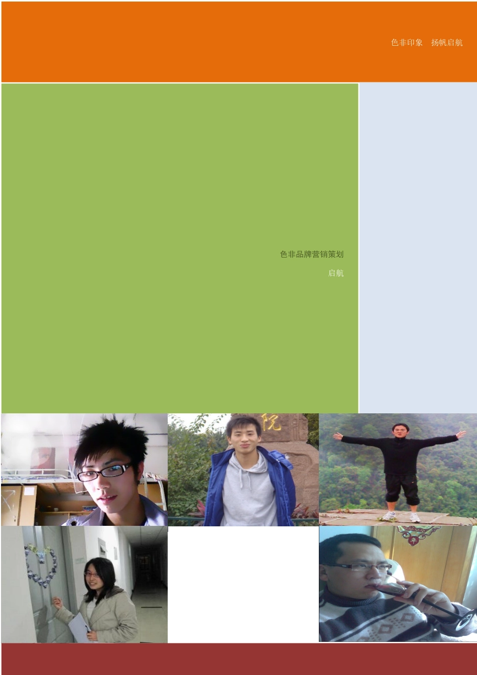 色非品牌营销推广方案_第1页