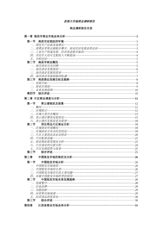 南昌大市场调研报告