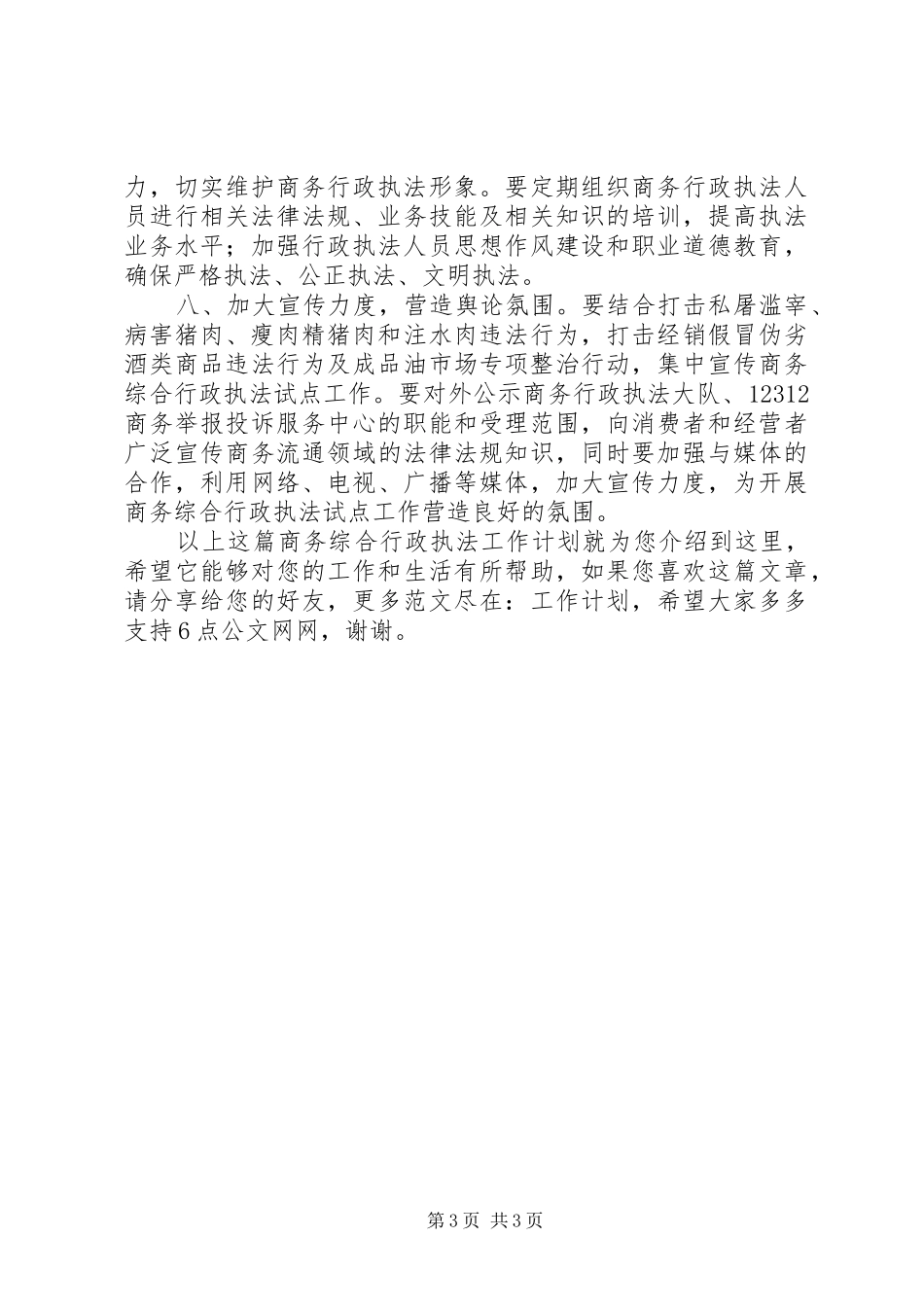 商务综合行政执法工作计划_第3页