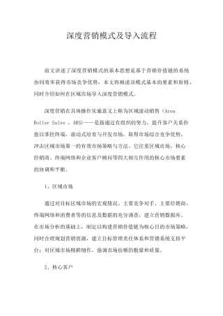 深度营销模式及导入流程分析报告