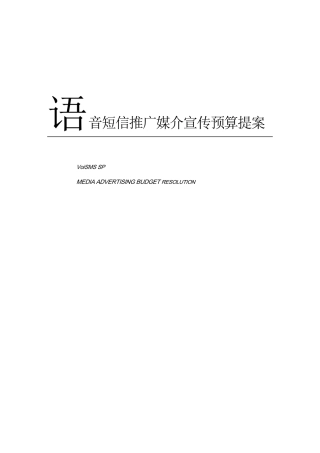 语音短消息市场推广媒体预算
