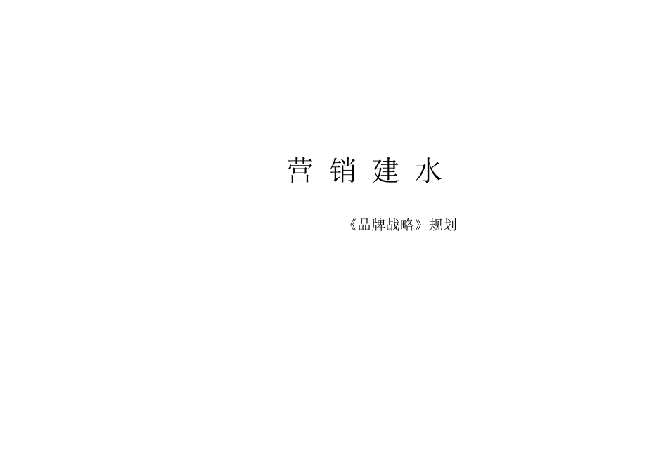 营销建水《品牌战略》规划_第1页