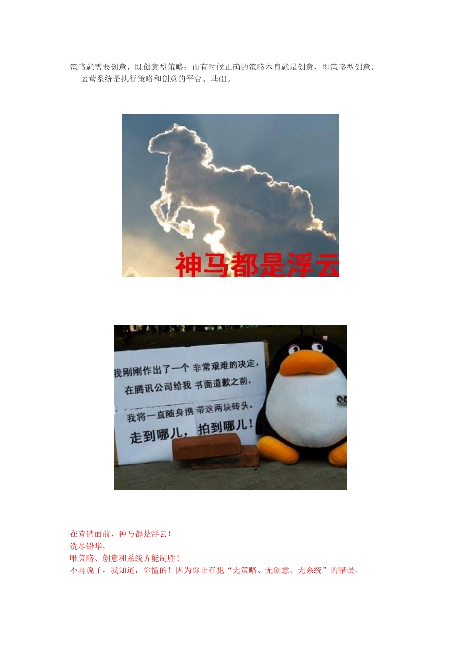 网络营销策划三大核心要素之系统制胜_第2页