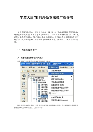 宁波大唐TD网络新算法推广指导书