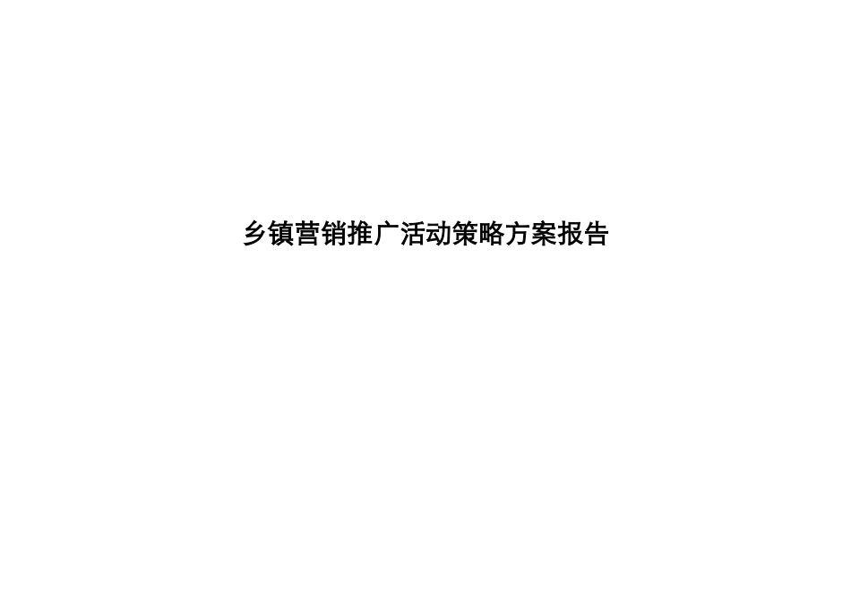 苏北阜宁县城营销推广活动策略方案报告1_第1页