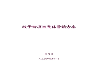 长沙坡子街商业项目整体营销方案