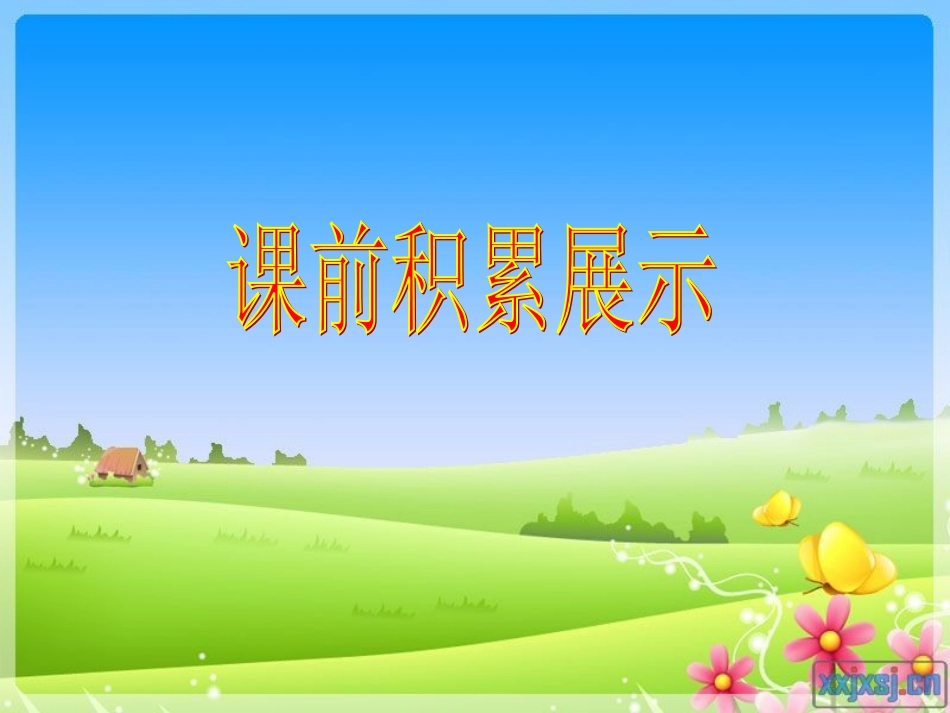(中小学精品）老人与海鸥课件_第1页