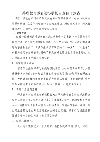 自查自评报告