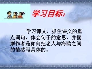 老人与海鸥张瑞