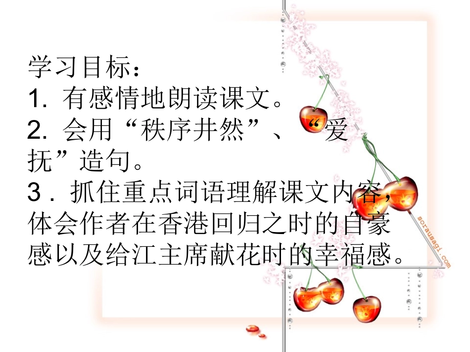 给江主席献花第二课时_第3页