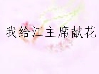 给江主席献花第二课时