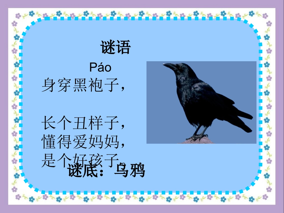 自制《乌鸦喝水》_第1页